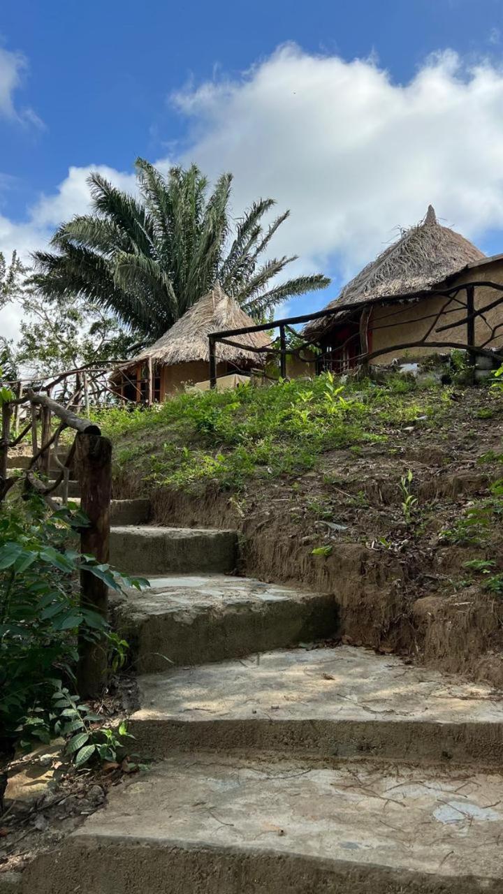 Tawaca Ecohotel Calabazo  Ngoại thất bức ảnh